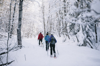 Winter walks guide