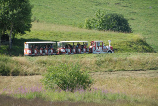 Le petit train touristique été 2026